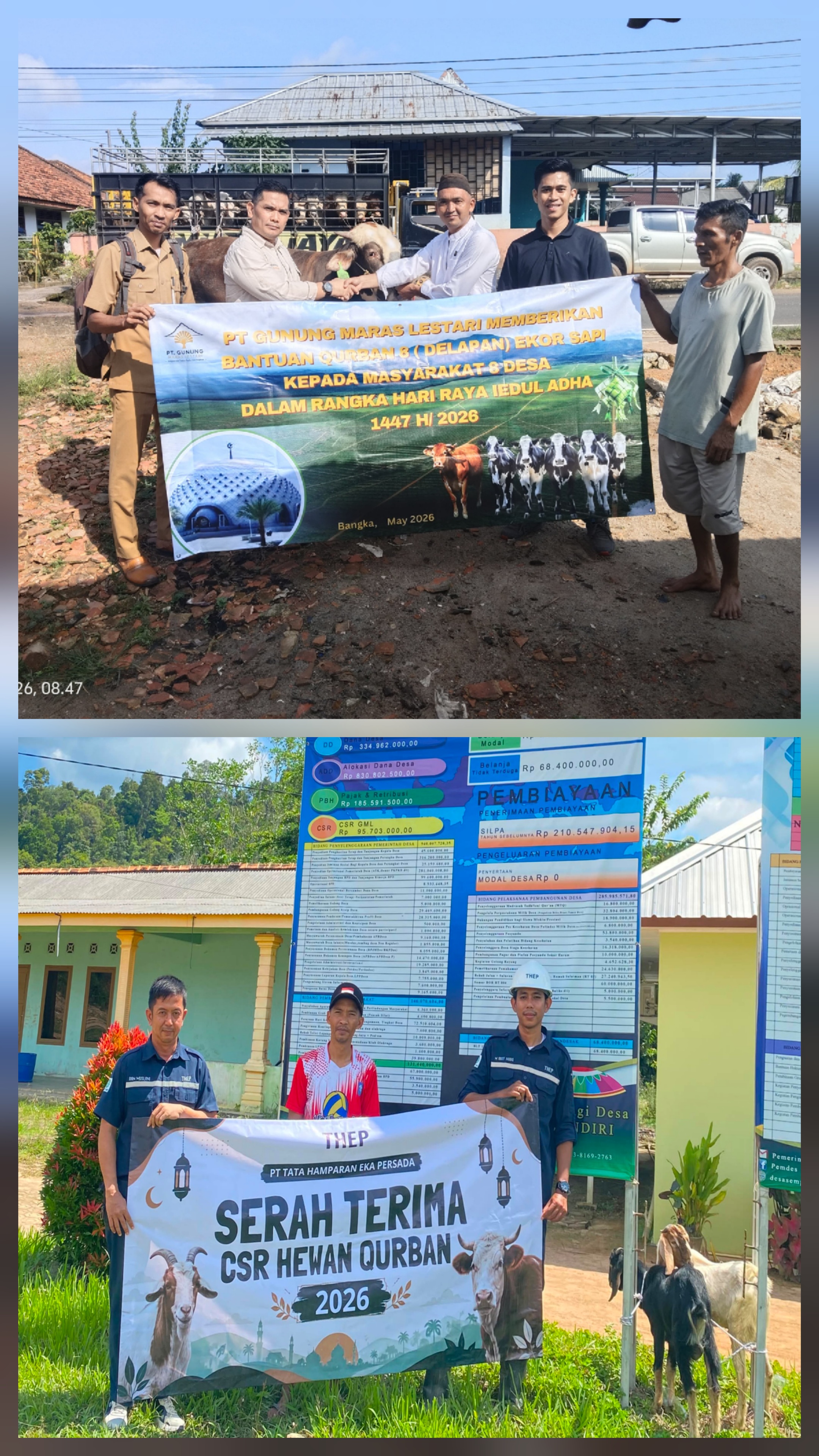 Serah Terima Bantuan Hewan Kurban dari PT. GML dan PT. THEP